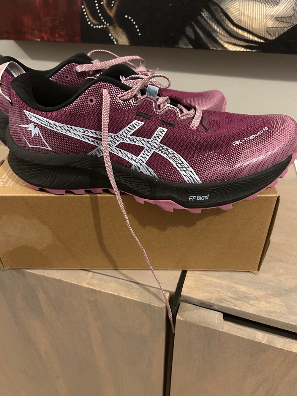 ASICS Women’s Trail Running Shoes - Plum with White